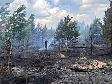 Нижегородцам грозят огромные штрафы за нарушение противопожарного режима