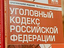 НДФЛ предложили не учитывать при определении сумм хищений