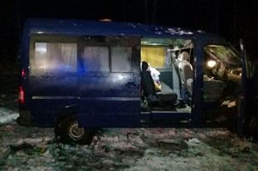 В Тамбовской области опрокинулся микроавтобус: пострадали четыре человека
