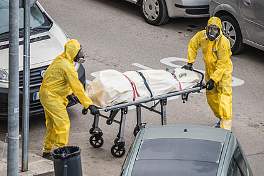 В США нашли возможный источник коронавируса