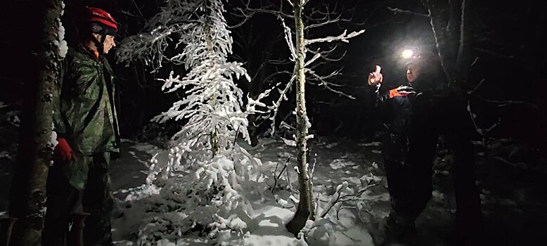 Заплутавшая туристка полночи провела в заснеженном лесу под Геленджиком