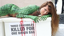 Сумки Birkin переименуют из-за скандала с мертвыми крокодилами