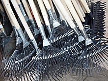 В Протвине около 1 га лесной территории очистили в ходе субботника в четверг