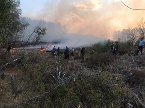 В районе Башкирии удалось локализовать природный пожар