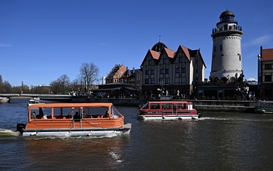 В Госдуме предложили создавать в России мезогорода
