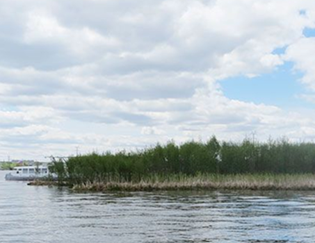 Плавучий остров на Ижевском пруду ликвидируют за 600 тыс. рублей