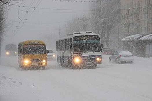 «Муниципалы» подхватили автобусный маршрут в Хабаровске, от которого отказался коммерсант