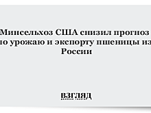 Минсельхоз США снизил прогноз по урожаю и экспорту пшеницы из России