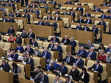 В Госдуме объяснили необходимость увеличения штрафов за хулиганство