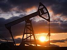 Возможное сокращение нефтяных доходов России оценили