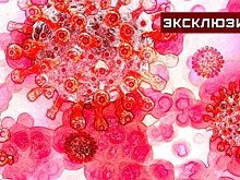 В центре Гамалеи объяснили, как может появиться «суперомикрон»