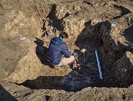 В логопарке под Самарой археологи нашли захоронения возрастом 3,5 тысячи лет