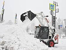 Назван срок возвращения снегопадов в Москву