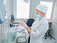 Более 750 человек пострадали от укусов клещей с начала 2025 года на Кубани