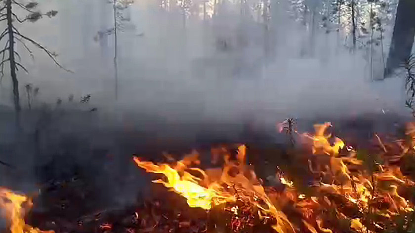 Природные пожары в Тюменской области тушат при помощи вертолётов