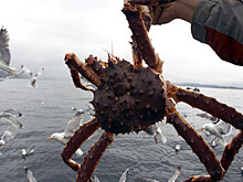 Как живет "крабовый король" России