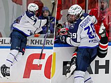 Мальцева закинули за борт, Пугачёв прыгал на стекло после гола. Фото победы «Торпедо»