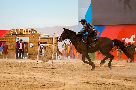 Фестиваль томатов, селфи на тракторе и конное шоу: как в Минводах отметили Всероссийский день поля