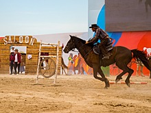 Фестиваль томатов, селфи на тракторе и конное шоу: как в Минводах отметили Всероссийский день поля