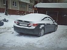 Владимирская мэрия обратилась к горожанам