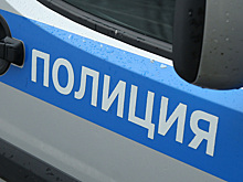 Мать и сын умерли в квартире в Новой Москве при загадочных обстоятельствах