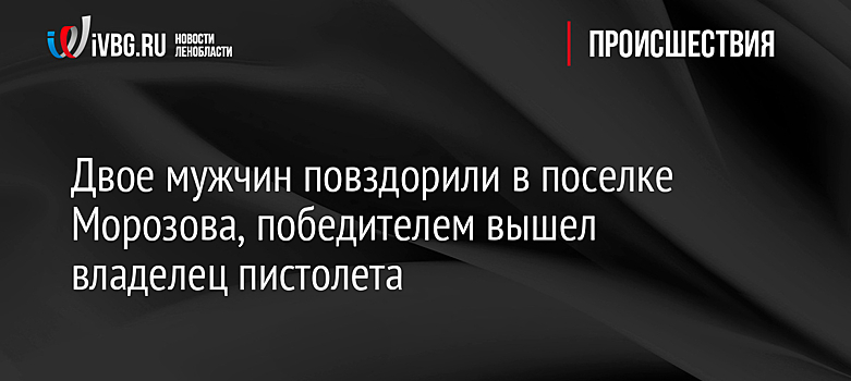 Двое мужчин повздорили в поселке Морозова, победителем вышел владелец пистолета