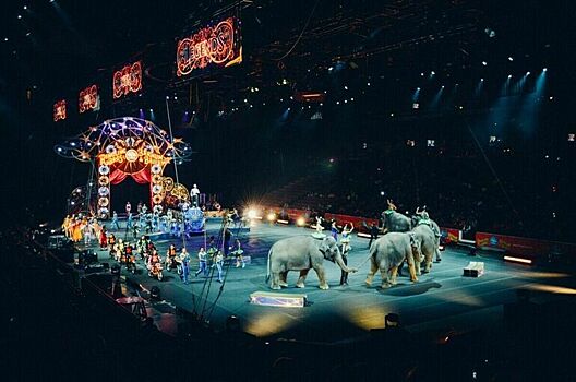 В Общественной палате назвали идею запретить животных в цирках противоречивой