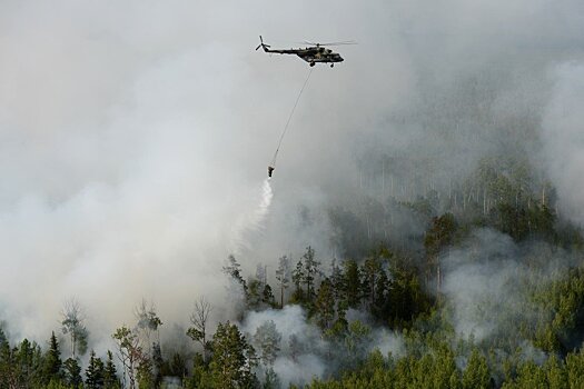 Белорусские спасатели будут тушить лесные пожары в Турции