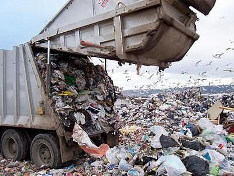 Власти Рязанской области пока не планируют принимать и перерабатывать мусор из Москвы