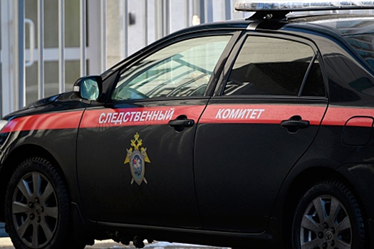 Силовики пришли с обысками в Михайловский театр Петербурга