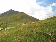 Закон есть, а толку - нет. Почему многодетные не могут получить участки?