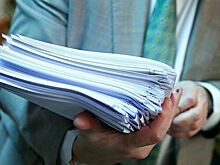 Приюты для животных хотят включить в список социальных НКО