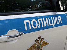 Названо грозящее сбившему ребенка депутату наказание