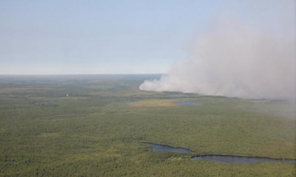 В Надымском районе тушат лесные пожары на площади 1363 гектара