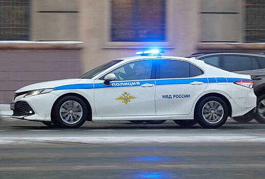 Назвавшегося патриотом России москвича сдали в полицию из-за флага на машине