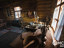 Рубель, чапельник и курьи ножки - богатства "Васиного хутора"
