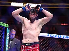 UFC 314, полный кард участников, дата и время, где смотреть онлайн бесплатно, трансляция