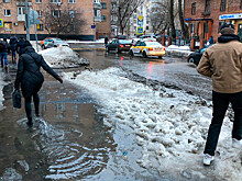 Синоптик Позднякова: предсказание сурка Филимона на приход весны не повлияет