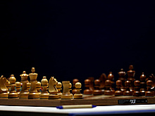 TMZ: стала известна причина смерти шахматиста Народицкого