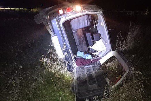 Водитель Suzuki  погиб  после опрокидывания в кювет под Новосибирском