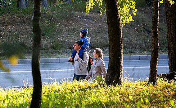 Бабье лето наступает в Новосибирске – погода 12 и 13 сентября