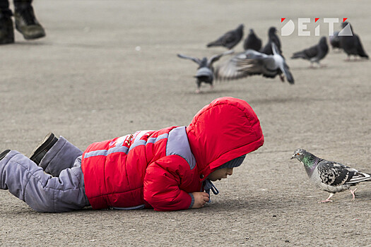 Детские выплаты могут продолжить начислять без заявлений до 1 марта