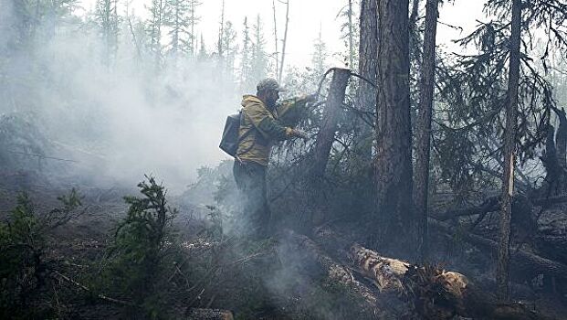 Площадь лесных пожаров в России в зоне активного тушения за сутки снизилась