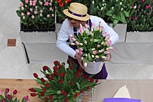 Выгодно ли содержать цветочный бизнес на Черноморском побережье