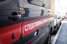 Дело жительницы Подмосковья, обвиняемой в гибели собственных детей, передано в суд