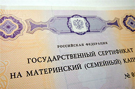 ГУ ПФР №5: Семьи распорядились материнским капиталом на 162,5 млрд рублей с начала года