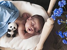 ВЦИОМ: 20% российской молодежи считают, что дети в семье не обязательны