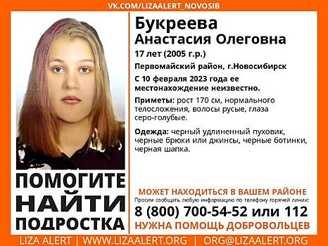 До бабушки не доехала: 17-летнюю студентку Анастасию Букрееву 3 недели ищут в Новосибирске