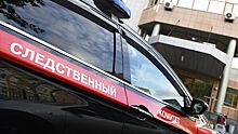 В Петербурге завели дело после наезда автомобиля на полицейского