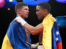 Шелестюк и Маэстре не сумели определить победителя в элиминаторе WBA
